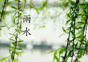 關(guān)于雨潤大地的詩(shī)句