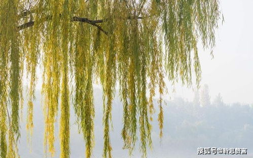 諷刺勢利小人的古詩(shī)句