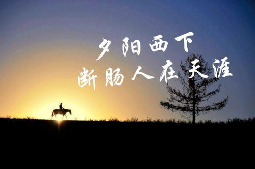 最孤獨的人猜古詩(shī)句