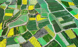 關(guān)于藍田縣的古詩(shī)句