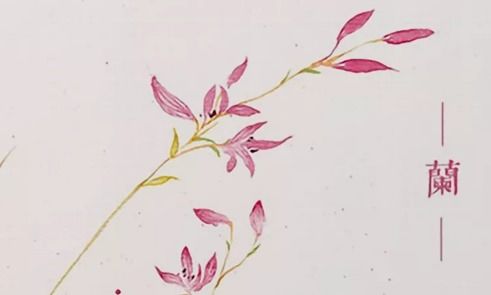 關(guān)于花的古詩(shī)句.20句