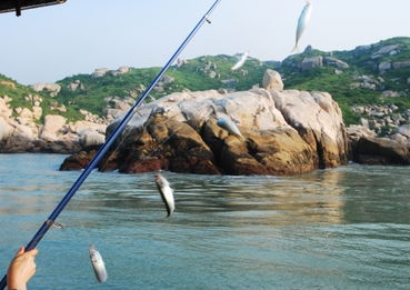 關(guān)于海釣的詩(shī)句