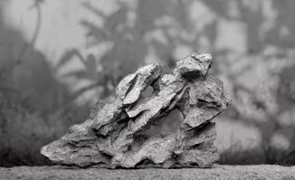 描寫(xiě)壯麗山河的古詩(shī)句子