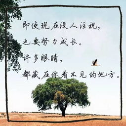 揚帆,起航,詩(shī)句,放飛