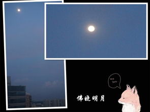 關(guān)于中秋觀(guān)月的詩(shī)句