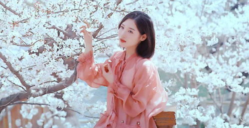 關(guān)于婧詩(shī)句和意思