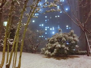 關(guān)于羨慕別人自己努力的詩(shī)句