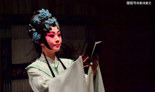 用古詩(shī)句來(lái)描寫(xiě)最深的感情