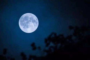 關(guān)于月亮和中秋的詩(shī)句古詩(shī)詞,描寫(xiě)中秋月亮的詩(shī)句古詩(shī)詞,贊美月亮的詩(shī)句古詩(shī)詞