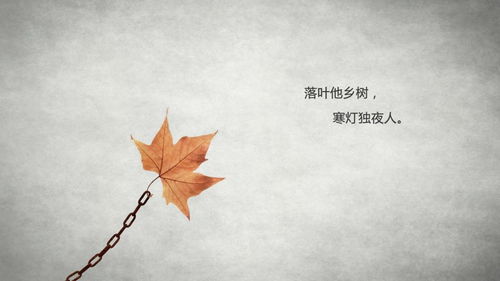 關(guān)于一人孤獨喝酒的詩(shī)句