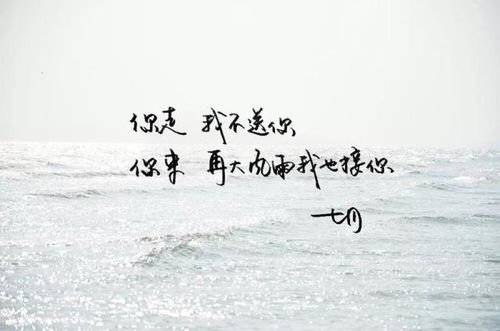 關(guān)于往后余生的詩(shī)句