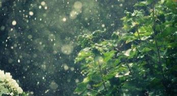 與關(guān)于雨的詩(shī)句有哪些