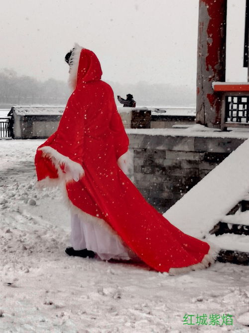 風(fēng)花雪夜的古詩(shī)句