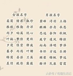 古詩(shī),句子,好聽(tīng)
