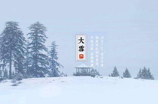 關(guān)于一夜大雪的詩(shī)句