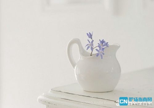 祝福母校的古詩(shī)句