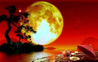 古詩(shī)有關(guān)元宵月亮詩(shī)句