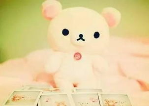 過(guò)節古詩(shī)句引用文章