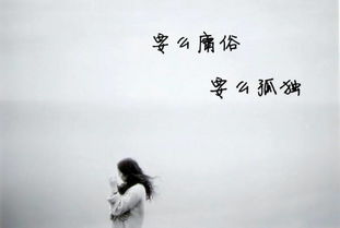 有關(guān)于孤獨寂寞的詩(shī)句