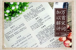 關(guān)于之術(shù)志抒懷的詩(shī)句