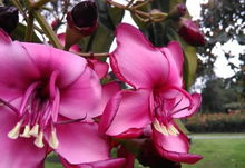 心情愉悅的詩(shī)句古詩(shī)