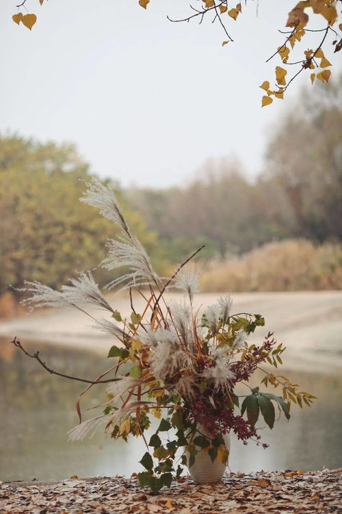 關(guān)于形容蘆葦的詩(shī)句