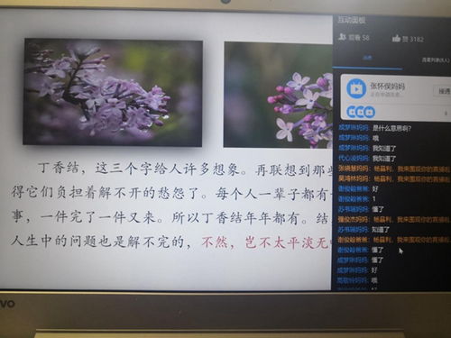 詩(shī)句中有丁香結的古詩(shī)