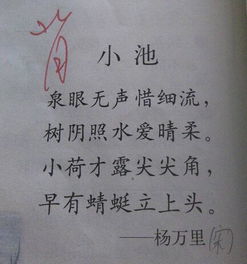 小學(xué)五級關(guān)于夏的詩(shī)句