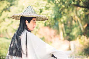 關(guān)于歌頌人精神的古詩(shī)句