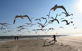 關(guān)于生命的意義詩(shī)句