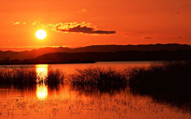 關(guān)于海邊夕陽(yáng)的詩(shī)句6