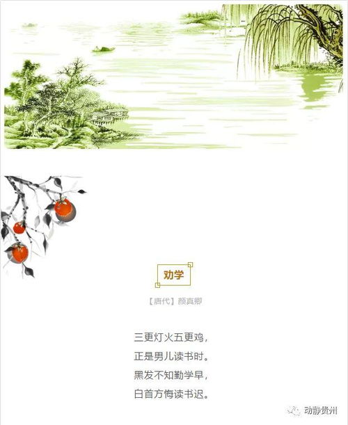 關(guān)于歲月不待人的詩(shī)句