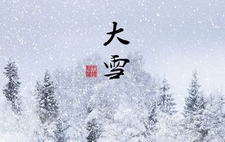 雪落長(cháng)安古詩(shī)句