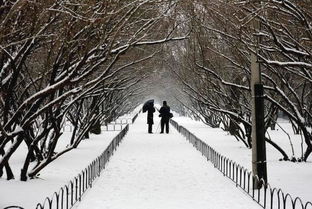 古詩(shī)詞,詩(shī)句,簡(jiǎn)短,描寫(xiě)