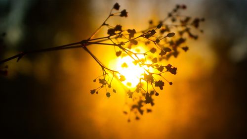 形容內心安寧的古詩(shī)句,形容釋然放下的古詩(shī)句,形容內心強大的古詩(shī)句