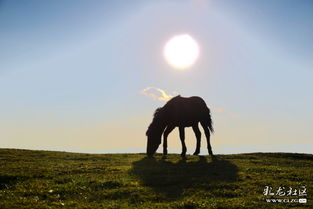 關(guān)于帶著(zhù)夢(mèng)想去遠行的詩(shī)句