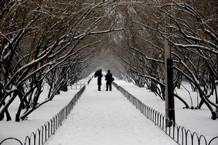 寫(xiě)雪表達情感的古詩(shī)句