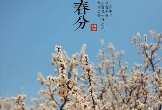 帶暉字關(guān)于春天的詩(shī)句古詩(shī)