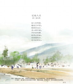 關(guān)于無(wú)法接受的詩(shī)句