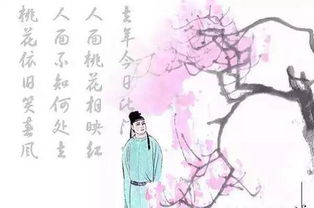 關(guān)于人面桃花的詩(shī)句