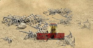 才子佳人的古詩(shī)句