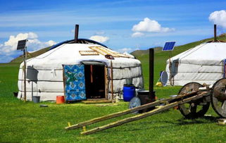 關(guān)于歡迎遠方來(lái)客的詩(shī)句