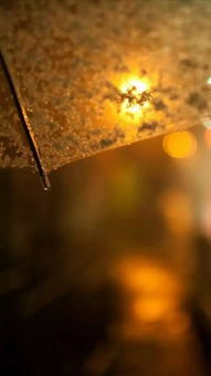 關(guān)于時(shí)光記憶的詩(shī)句