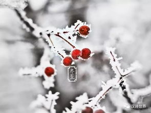 關(guān)于大樹(shù)和孩子的詩(shī)句