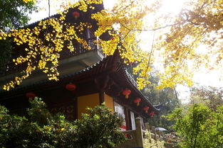 關(guān)于尊師重道的古詩(shī)句