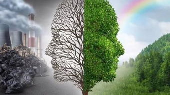 形容新生事物蓬勃發(fā)展的詩(shī)句,表示新興事物蓬勃發(fā)展的詩(shī)句,形容事物蓬勃發(fā)展詩(shī)句