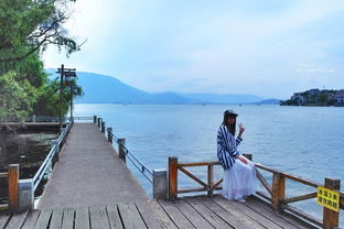 關(guān)于島上旅游的詩(shī)句