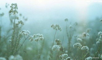 告訴我們要珍惜時(shí)間的古詩(shī)句