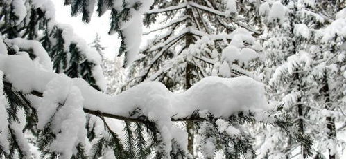 有關(guān)于面對人生困難的詩(shī)句