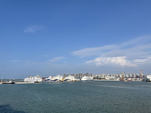 撒網(wǎng),詩(shī)句,日出